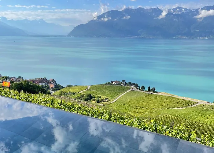 Baron Tavernier Hotel Restaurant & Spa