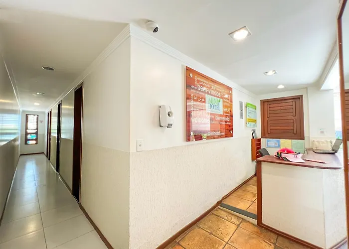Rede Andrade Mini (Adults Only)