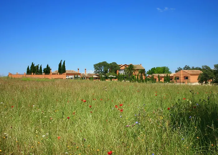 Hotel Valdepalacios Gourmand 5* GL Torrico