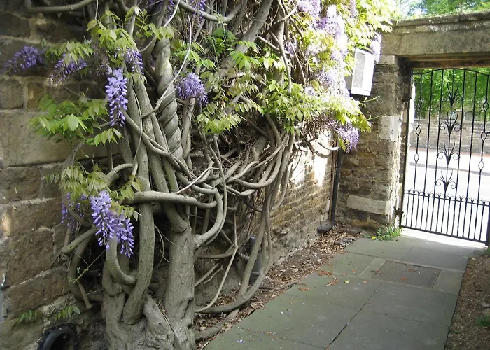 Wisteria Hotel