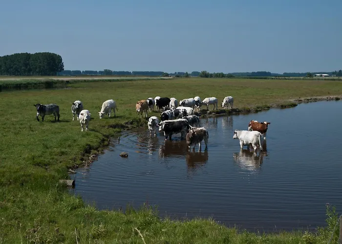 De Eenhoorn