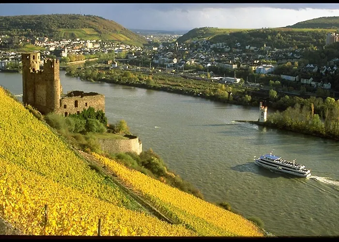 Rheinhotel Lamm Rüdesheim am Rhein