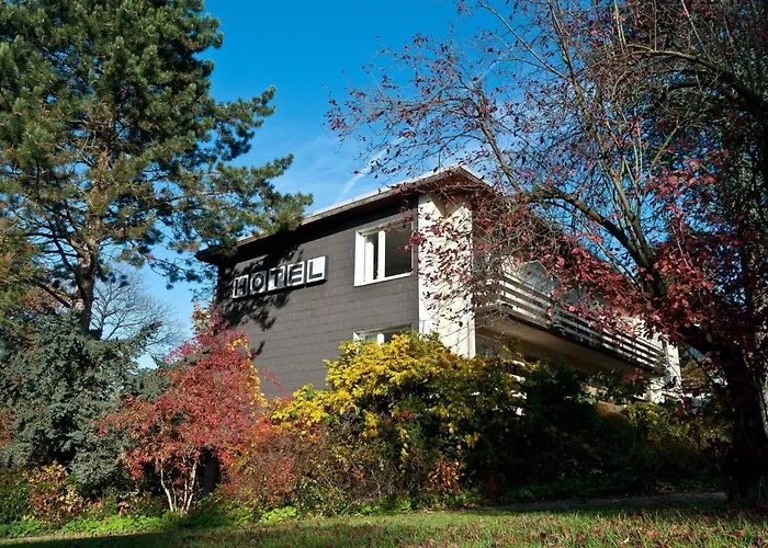 Hotel-Café Schauinsland Horn-Bad Meinberg