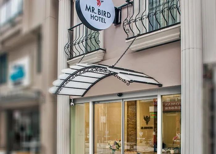 Mr. Bird