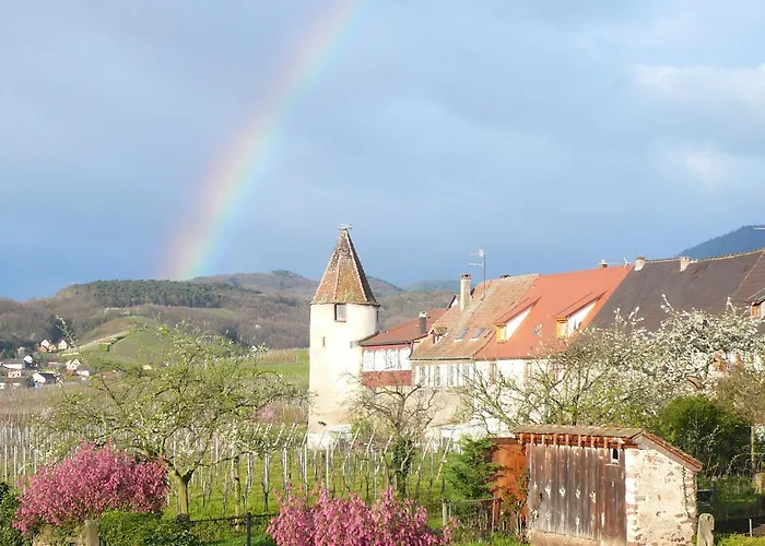 Munsch Restaurant & Wellness, Colmar Nord - Haut-Koenigsbourg