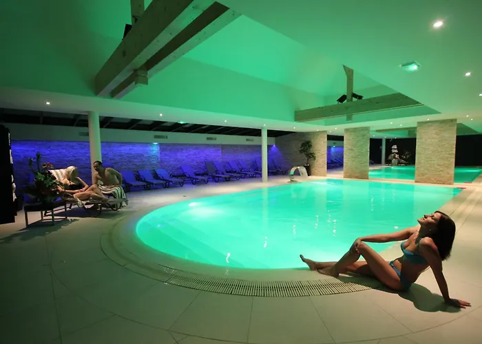 Hotel Au Nid De Cigognes Ostheim