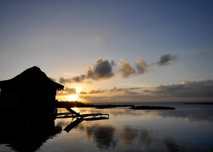 Gungaporanga (Adults Only)