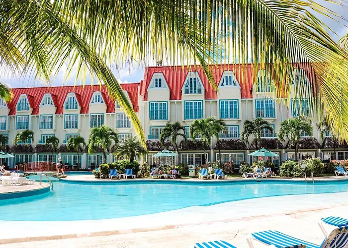 Coco Palm