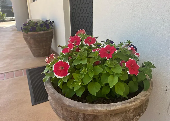 Nautilus Hamptons Style Luxury Beach Apartment Merimbula