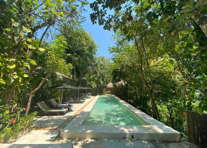 Piedra De Agua Palenque