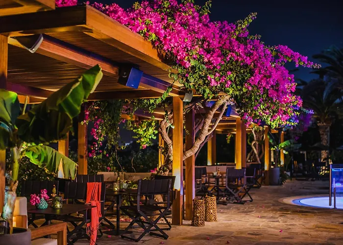 Hoteles Románticos en Ayia Napa 