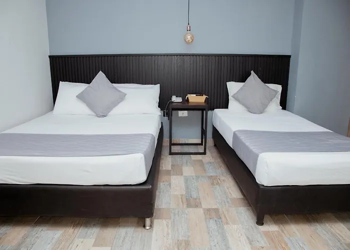 Hotel Palmas del Estadio