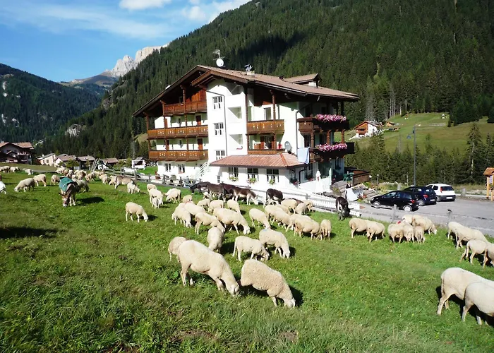 Hotel Sassleng