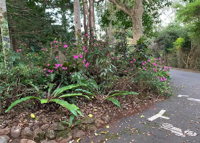Montville Country Cabins