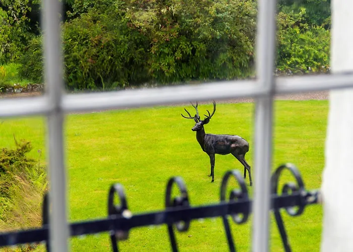 Killean Farmhouse B&B