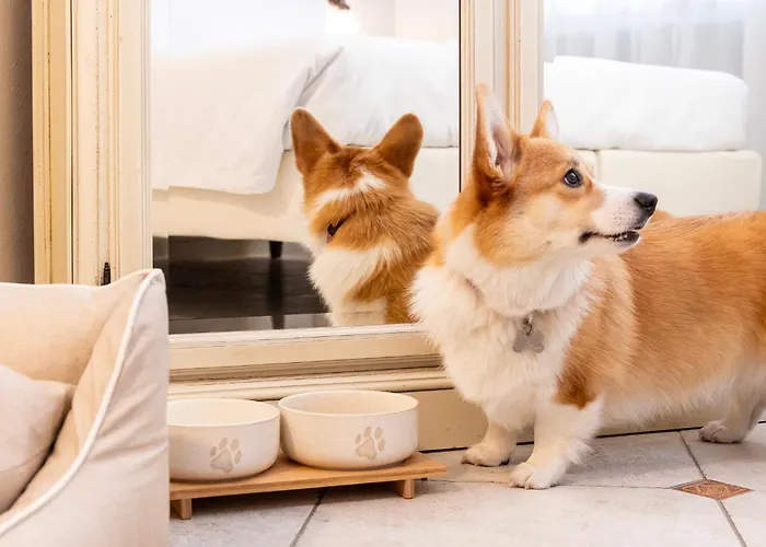 Majestic Toscanelli (centro storico)