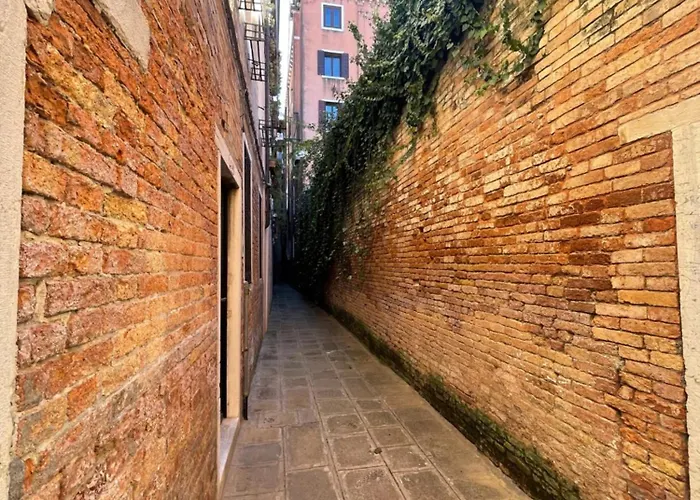 San Toma By M&F