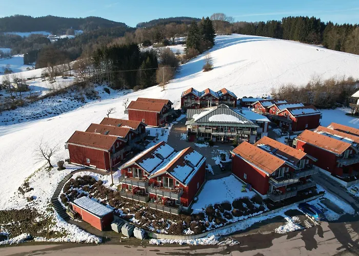 Village Hotel Bayerischer Wald Neukirchen 