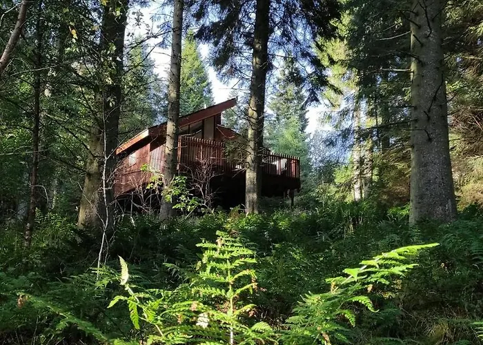 Glentress Forest Cabins - Forest Holidays