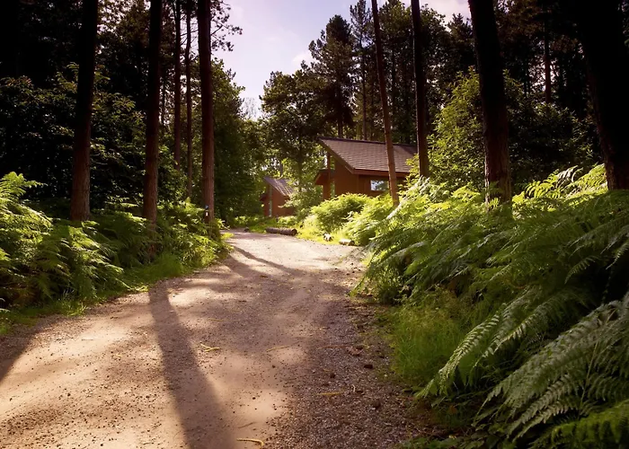 Glentress Forest Cabins - Forest Holidays