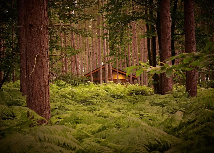 Glentress Forest Cabins - Forest Holidays