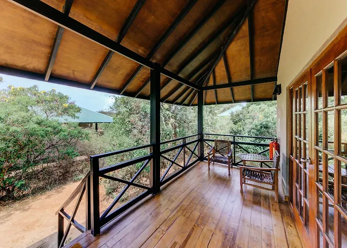 Cinnamon Wild Yala