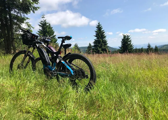 Waldgasthof Bad Einsiedel Kurort Seiffen/Erzgebirge