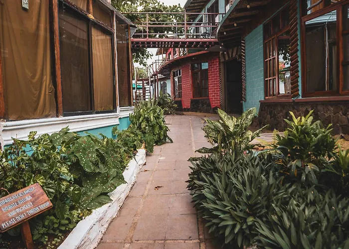 Hotel Miconia