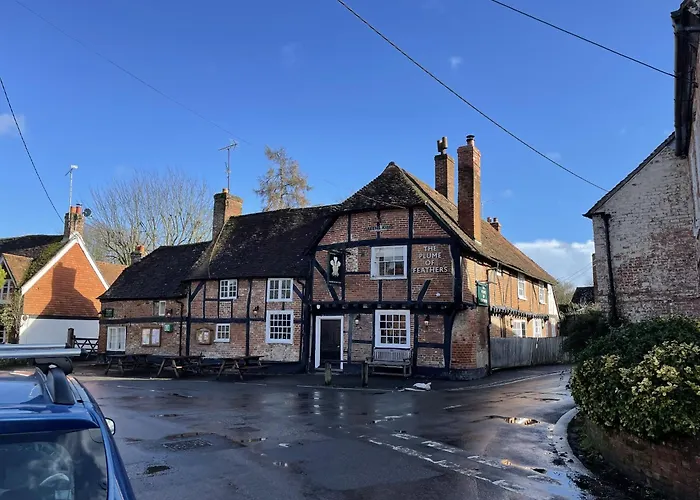 The Plume Of Feathers