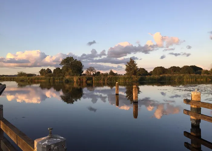 Zwier, de Vrijhaven