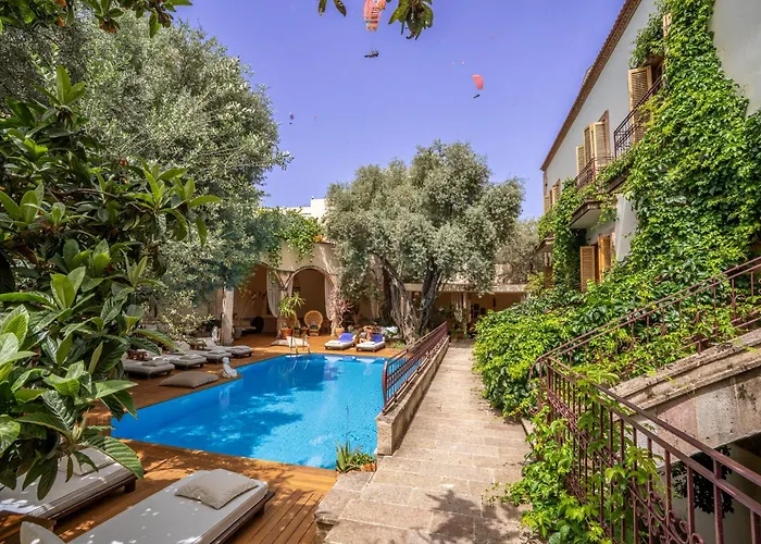Jade Residence (Adults Only)