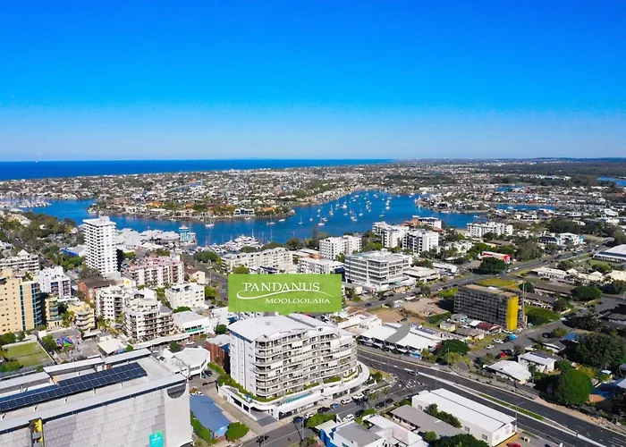 Pandanus Mooloolaba
