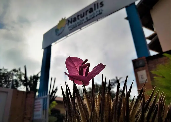 Hotel Naturalis
