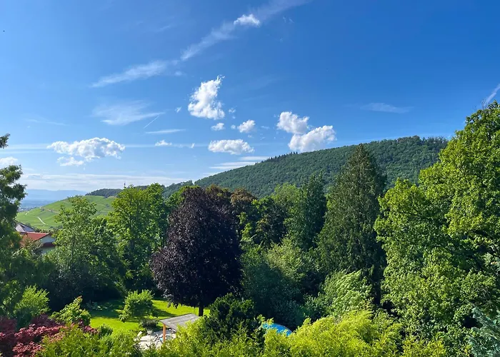 Park Hotel & Spa Katharina Badenweiler
