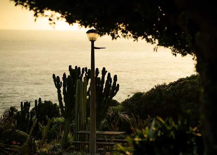 Ocean View House