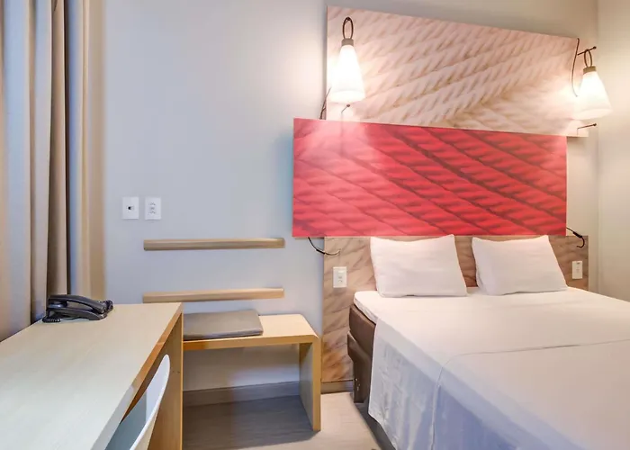 Ibis Paranaguá