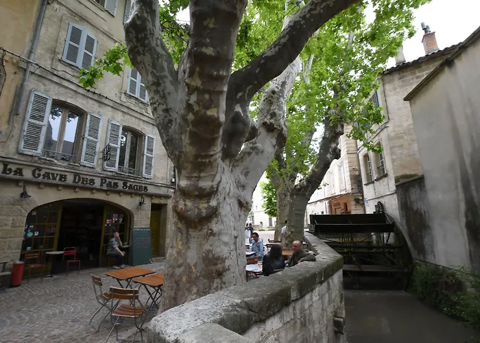 Hotel Le Magnan à Avignon