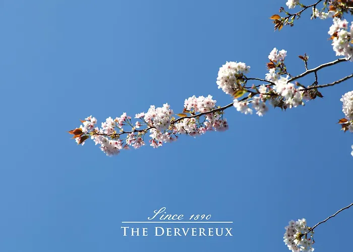 The Devereux Boutique Hotel