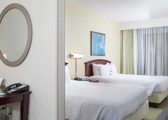 Springhill Suites By Marriott Norfolk Virginia Beach