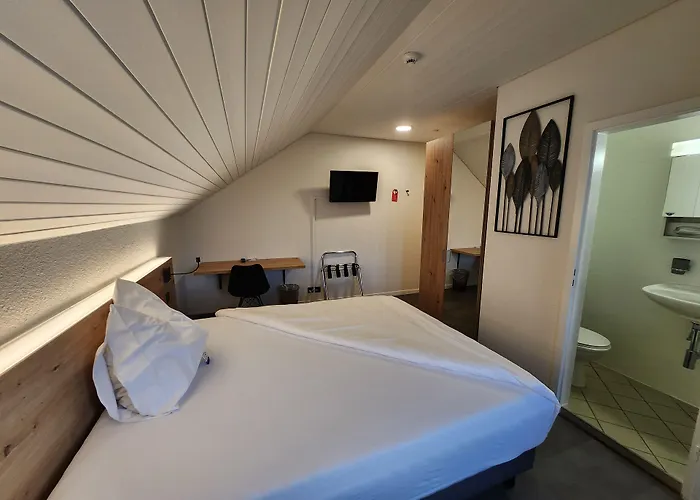 Hotel Baeren Suhr Aarau