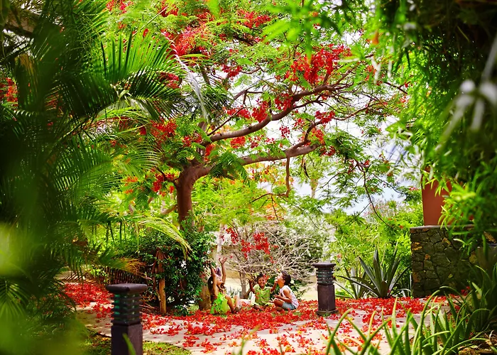 Iloha Seaview Hotel Saint-Leu