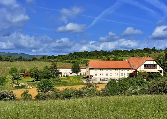 Hôtel du Bollenberg Cit'Hotel - Restaurant Côté Plaine - Spa de la Colline Westhalten