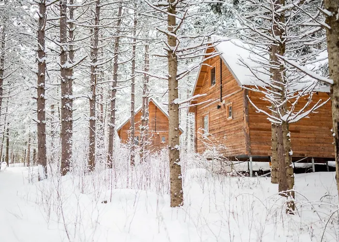 Huttopia White Mountains