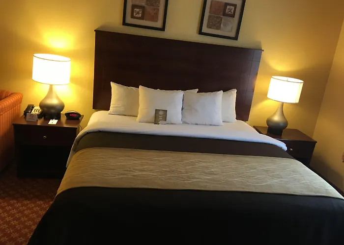 Comfort Inn Naugatuck-Shelton, Ct