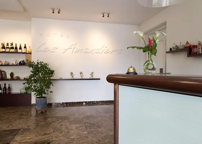 Hotel Les Amandiers
