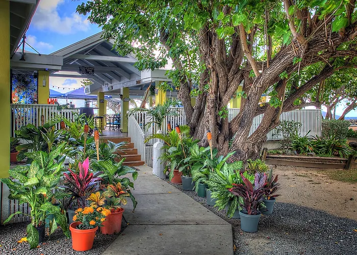 Tamarind Reef Resort Spa & Marina Christiansted