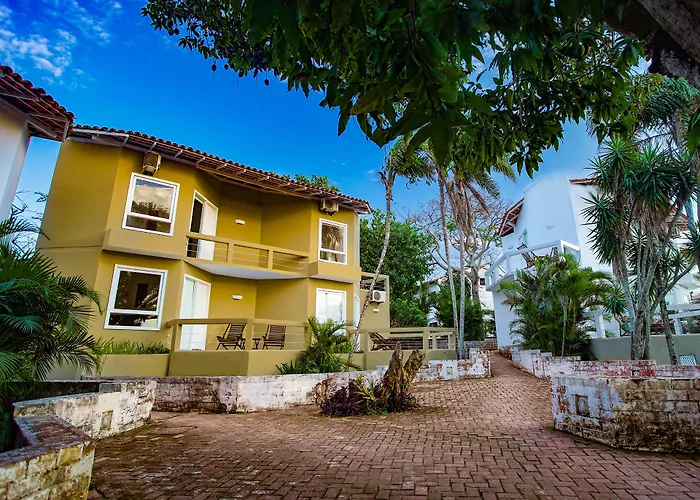 Apa Pau Brasil