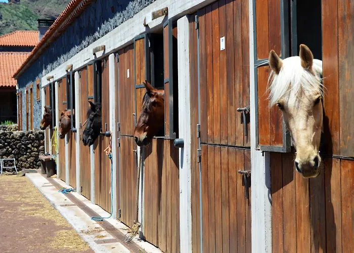 La Casona del Patio