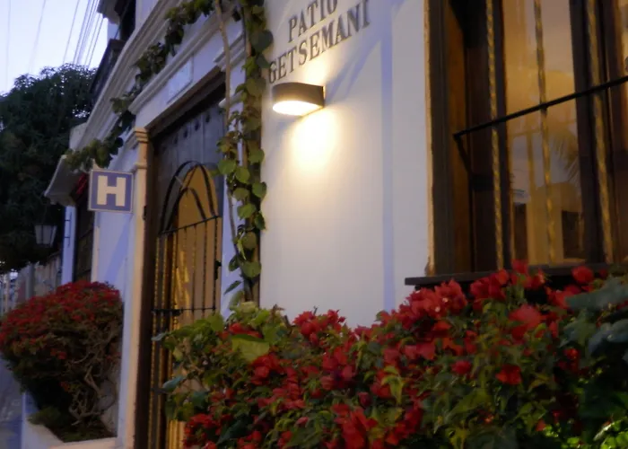 Patio de Getsemani