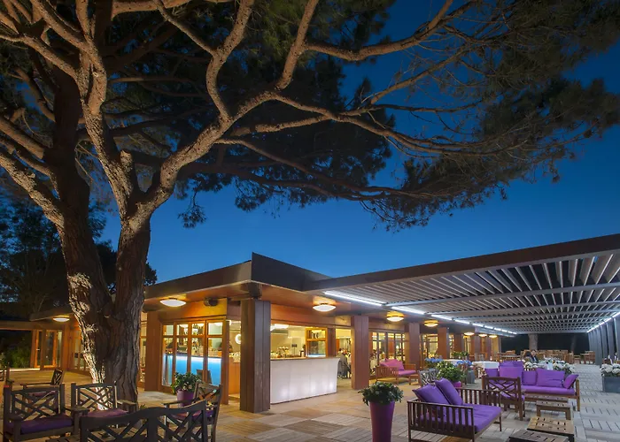 Hôtel&Lodges Moby Dick Porto-Vecchio 